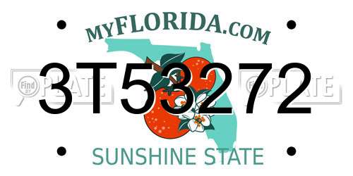 3T53272 Florida License Plate
