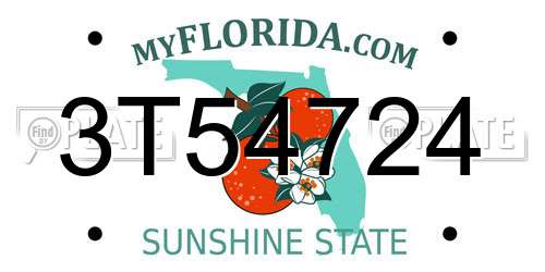 3T54724 Florida License Plate