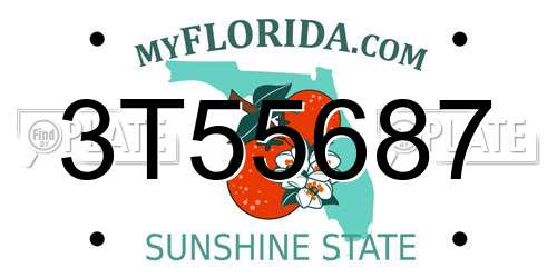 3T55687 Florida License Plate