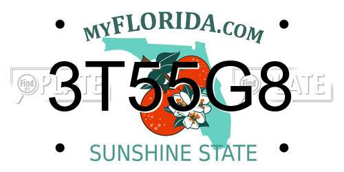 3T55G8 Florida License Plate