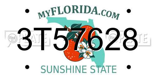 3T57628 Florida License Plate