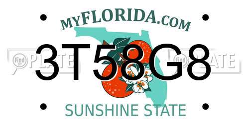 3T58G8 Florida License Plate