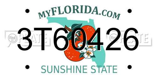3T60426 Florida License Plate