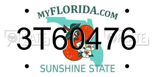 3T60476 Florida License Plate