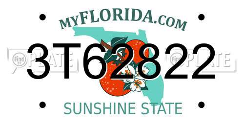 3T62822 Florida License Plate