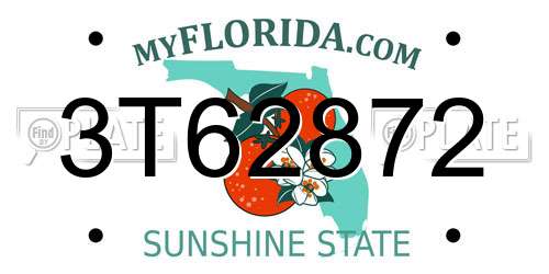 3T62872 Florida License Plate