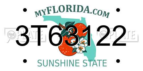 3T63122 Florida License Plate