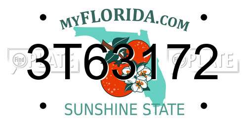 3T63172 Florida License Plate