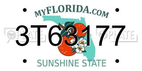 3T63177 Florida License Plate