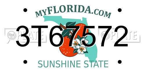 3T67572 Florida License Plate