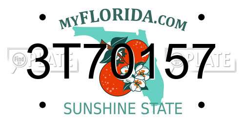 3T70157 Florida License Plate