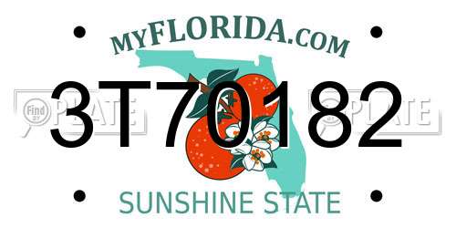 3T70182 Florida License Plate