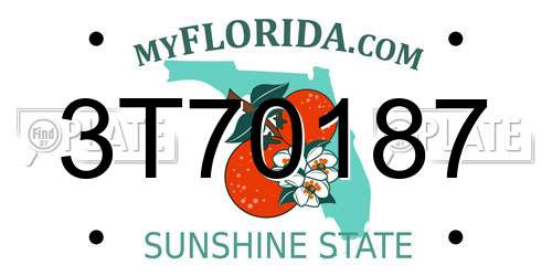 3T70187 Florida License Plate