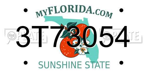 3T73054 Florida License Plate