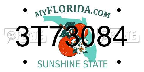 3T73084 Florida License Plate