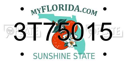 3T75015 Florida License Plate