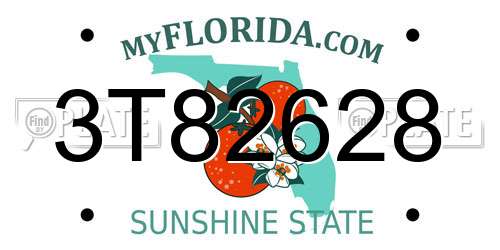 3T82628 Florida License Plate