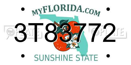 3T83772 Florida License Plate