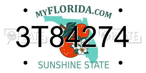 3T84274 Florida License Plate