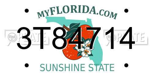 3T84714 Florida License Plate