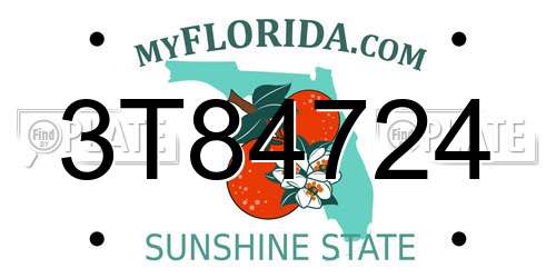 3T84724 Florida License Plate