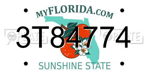 3T84774 Florida License Plate