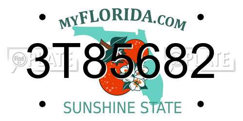 3T85682 Florida License Plate
