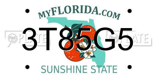 3T85G5 Florida License Plate