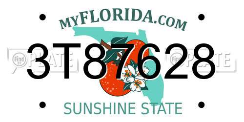 3T87628 Florida License Plate