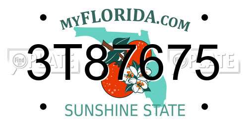 3T87675 Florida License Plate