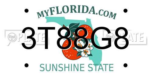 3T88G8 Florida License Plate