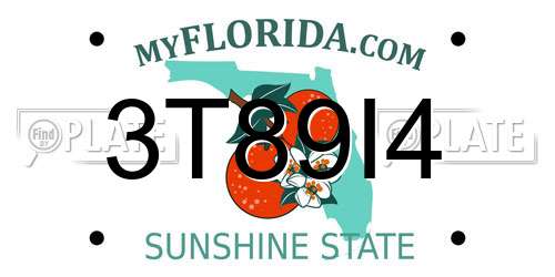 3T89I4 Florida License Plate