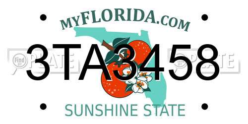 3TA3458 Florida License Plate