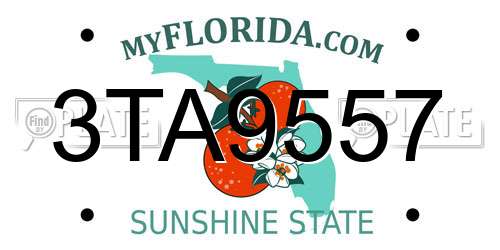 3TA9557 Florida License Plate