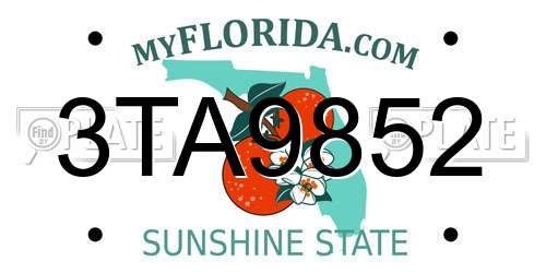 3TA9852 Florida License Plate