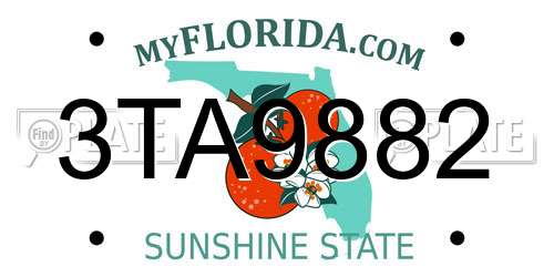 3TA9882 Florida License Plate