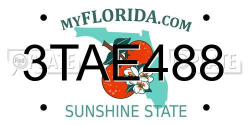 3TAE488 Florida License Plate