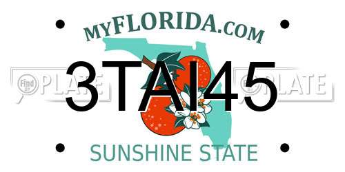 3TAI45 Florida License Plate