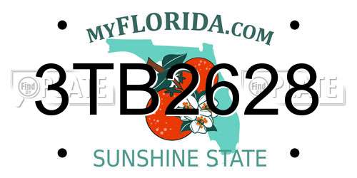 3TB2628 Florida License Plate