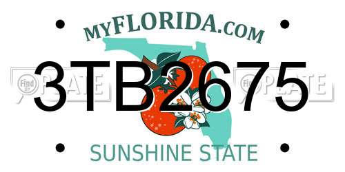3TB2675 Florida License Plate