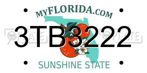 3TB3222 Florida License Plate