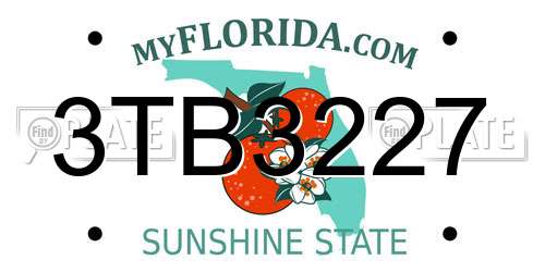 3TB3227 Florida License Plate