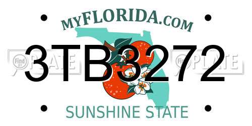 3TB3272 Florida License Plate