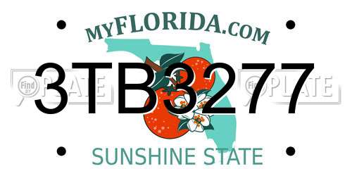 3TB3277 Florida License Plate