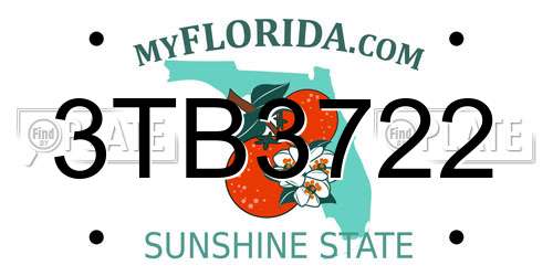 3TB3722 Florida License Plate
