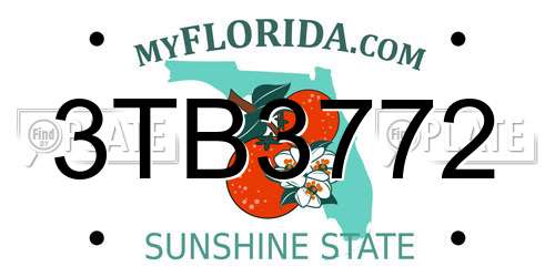 3TB3772 Florida License Plate