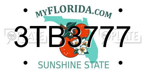 3TB3777 Florida License Plate