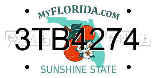 3TB4274 Florida License Plate