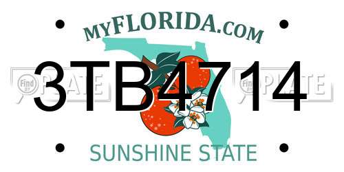3TB4714 Florida License Plate