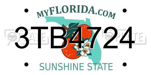 3TB4724 Florida License Plate